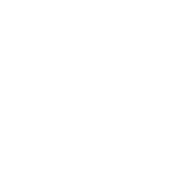 冷库铰链 (升降型)